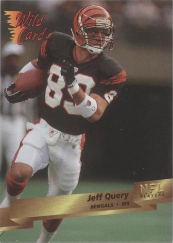 1993 Wild Card Jeff Query #16