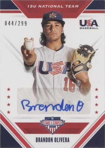 2020 Panini USA Baseball Stars & Stripes - Brandon Olivera #15U-BO