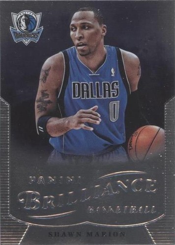 2012-13 Panini Brilliance - Shawn Marion #53