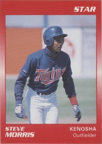 1989 Star Minor League - Steve Morris #53