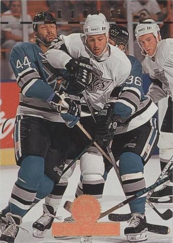 1994-95 Leaf - Dan Quinn #413