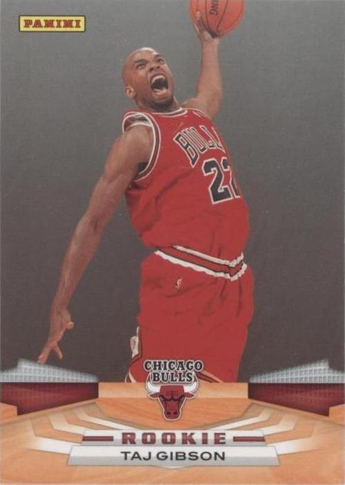 Panini 2009-10 - Taj Gibson #376