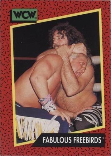 1991 Impel WCW - Jimmy Garvin #119