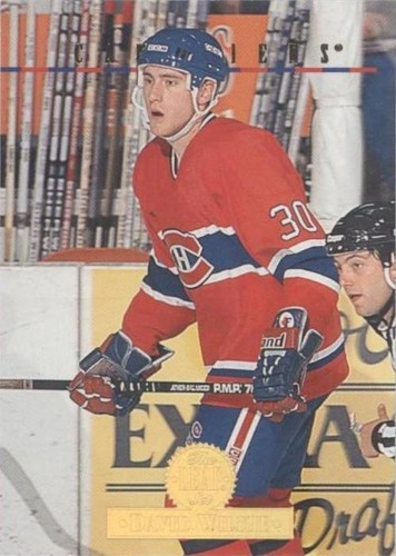 1994-95 Leaf - David Wilkie #458