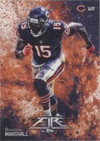 2014 Topps Fire Brandon Marshall #66