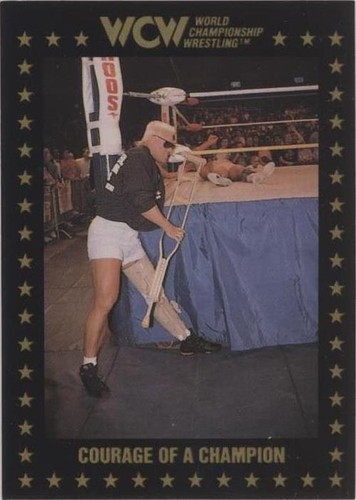 1991 Championship Marketing WCW - Sting #87