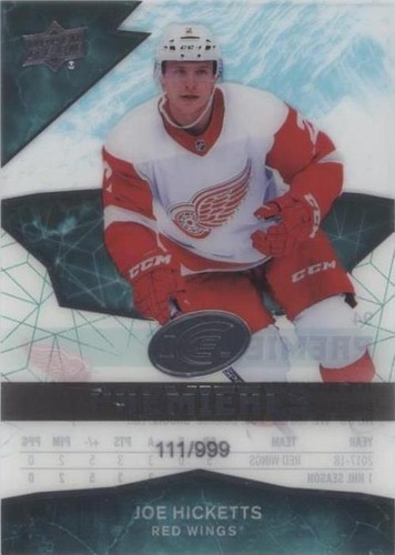 2018-19 Upper Deck Ice - Joe Hicketts #94