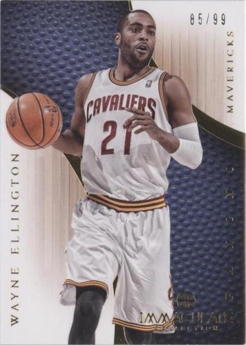 2012-13 Panini Immaculate Collection - Wayne Ellington #19