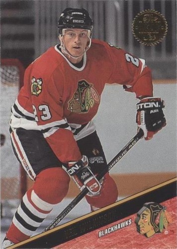 1993-94 Leaf - Neil Wilkinson #357