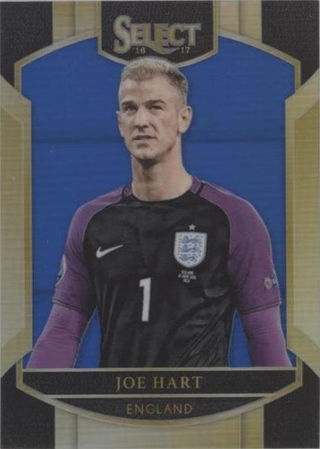 その他 panini noir Joe Hart panini noir Joe Hart