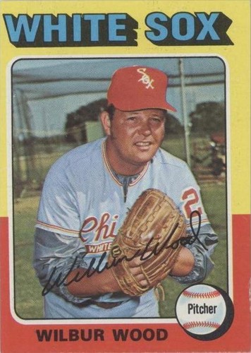 1975 Topps - Wilbur Wood #110