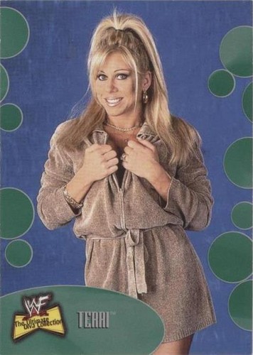 2001 Fleer WWF The Ultimate Divas Collection - Terri #28