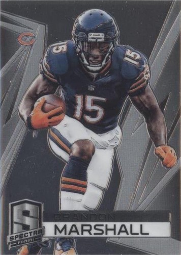 2014 Panini Spectra Brandon Marshall #100