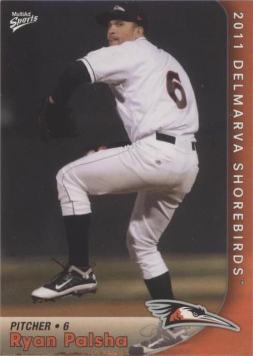 2011 MultiAd Sports Delmarva Shorebirds - Ryan Palsha #17