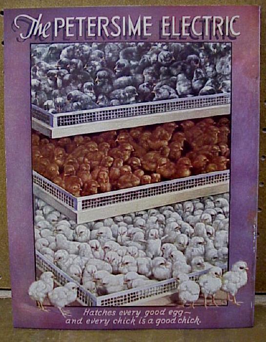 Vintage 1930's Petersime Electric Incubators Complete Catalog - New Old Stock