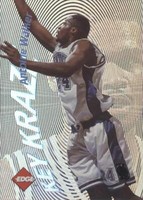 1996 Collector's Edge Rookie Rage - Antoine Walker #20