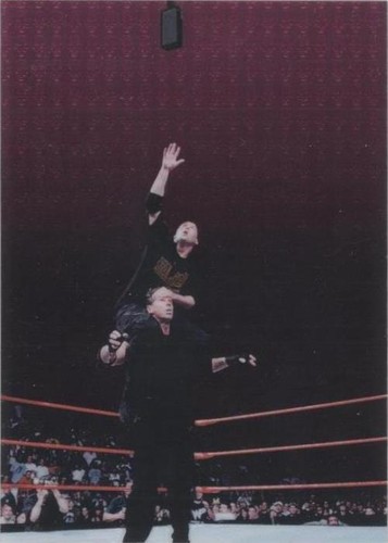 1999 Comic Images WWF SmackDown! Chromium - Shane McMahon Steve Austin Vince McMahon #81