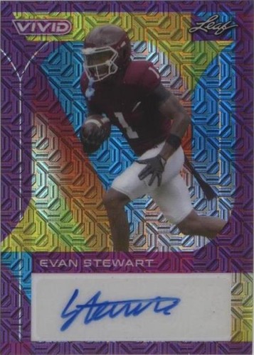 2023 Leaf Vivid Evan Stewart #BA-ES2