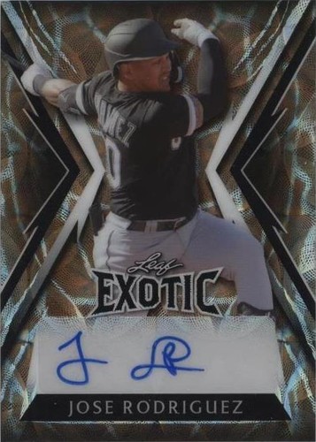 2023 Leaf Exotic - Jose Rodriguez #BA-JR1