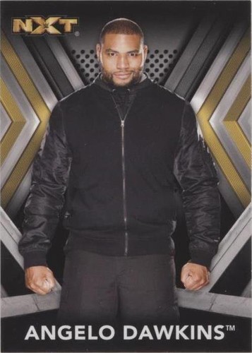 2017 Topps WWE NXT - Angelo Dawkins #6