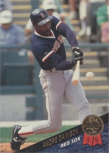 1993 Leaf - Andre Dawson #310