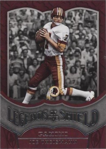 2016 Panini Joe Theismann #19