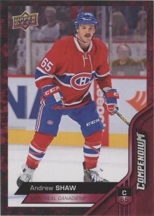 2016-17 Upper Deck Compendium - Andrew Shaw #719