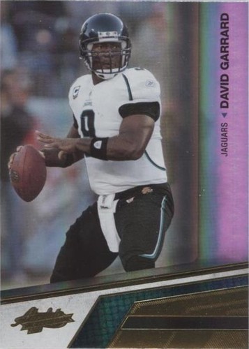 2010 Panini Absolute Memorabilia David Garrard #45
