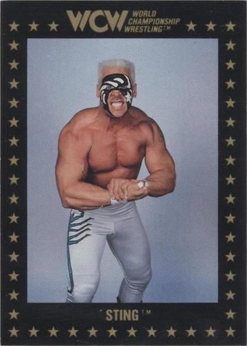 1991 Championship Marketing WCW - Sting #49