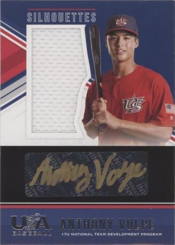 2019 Panini Anthony Volpe auto 直筆サイン シリ 2019 Anthony