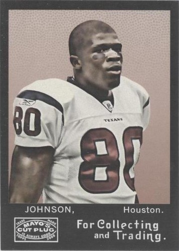 2008 Topps Mayo Andre Johnson #172