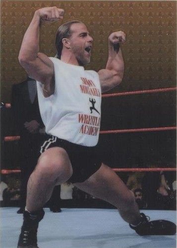 1999 Comic Images WWF SmackDown! Chromium - Shawn Michaels #29