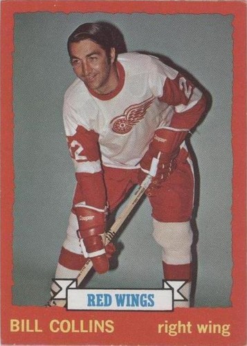 1973-74 Topps - Bill Collins #158