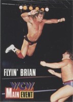 1995 CARDZ WCW Main Event - Brian Pillman #22