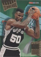 1995-96 NBA Hoops - David Robinson #SL42