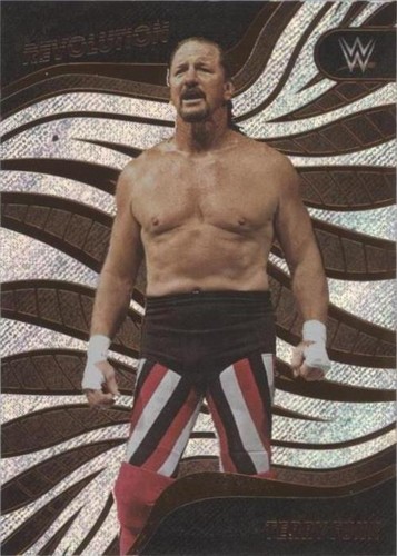 2023 Panini Revolution WWE - Terry Funk #120