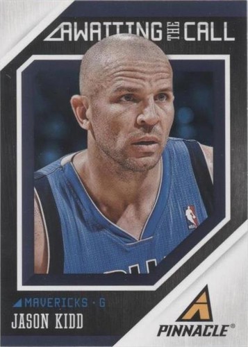 2013-14 Panini Pinnacle - Jason Kidd #1
