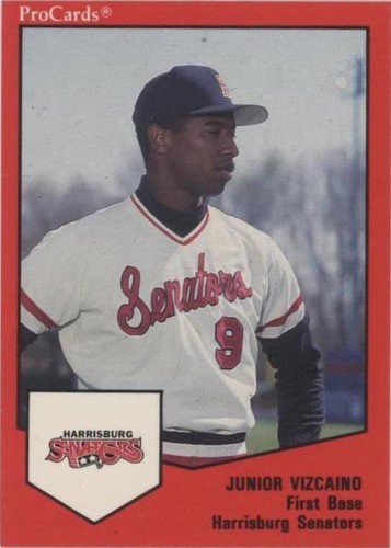 1989 ProCards Minor League Team Sets - Junior Vizcaino #293