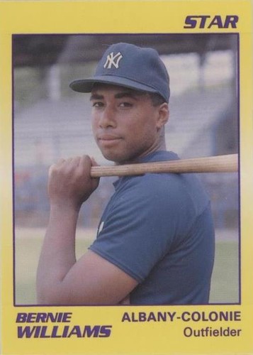 1990 Star Minor League - Bernie Williams #54