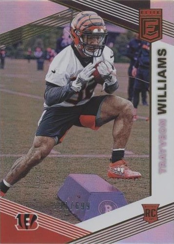 2019 Panini Donruss Elite Trayveon Williams #166