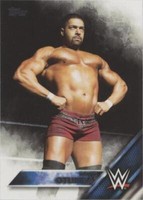 2016 Topps WWE Then Now Forever - David Otunga #115