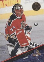 1993-94 Leaf - John Vanbiesbrouck #371