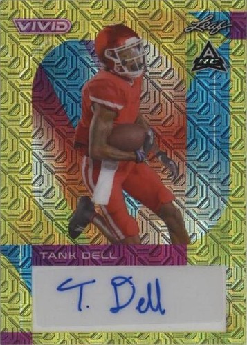 2023 Leaf Vivid Tank Dell #BA-TD1