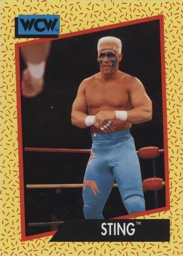 1991 Impel WCW - Sting #10