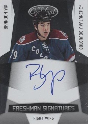2010-11 Certified - Brandon Yip #176