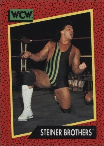 1991 Impel WCW - Rick Steiner Scott Steiner Steiner Brothers #113