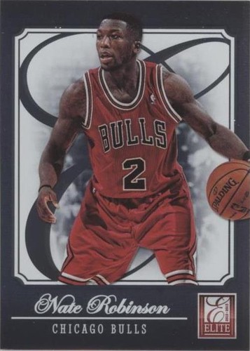 2012-13 Elite - Nate Robinson #22