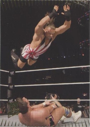 2007 Topps WWE Action - Rob Van Dam #79