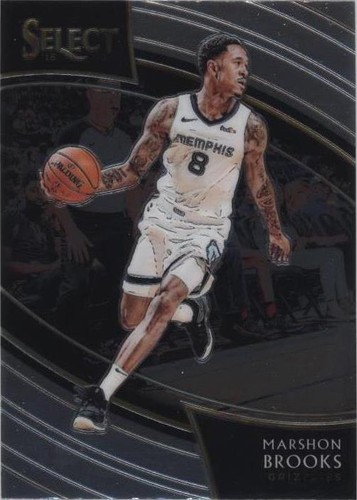 2018-19 Panini Select - MarShon Brooks #224