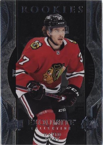 2023-24 Upper Deck Ice - David Gust #R20